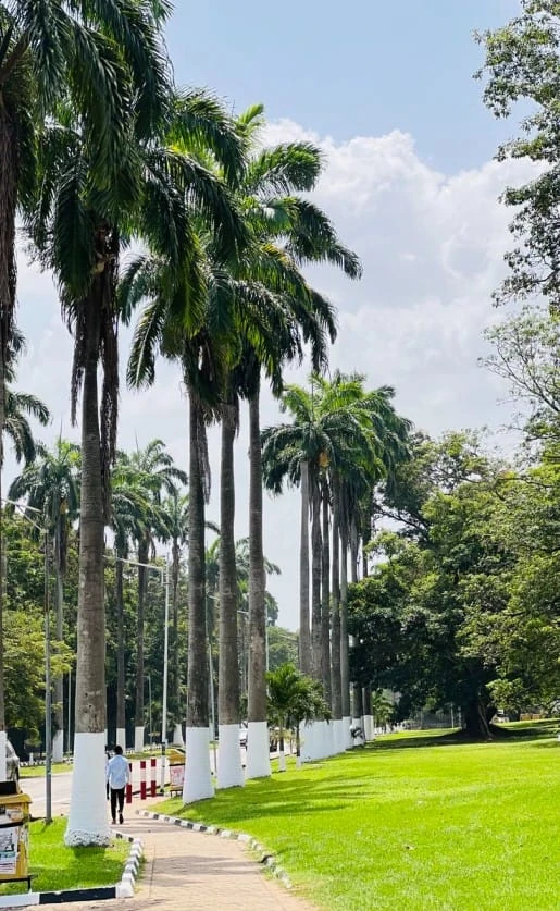 KNUST campus view 2